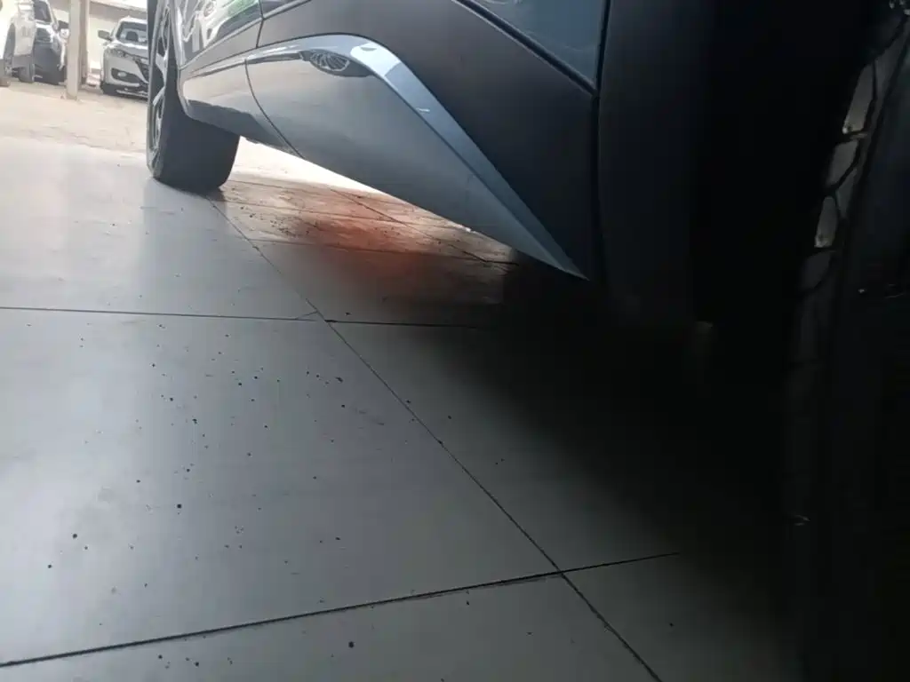 BYD Yuan Plus — миниатюра 22