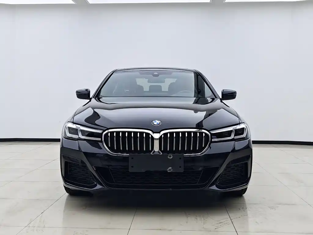 BMW 5 Series — миниатюра 2