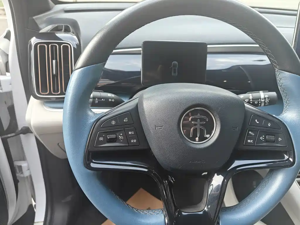BYD Pro — миниатюра 11