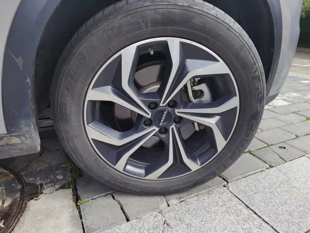 Haval Xiaolong MAX — миниатюра 25