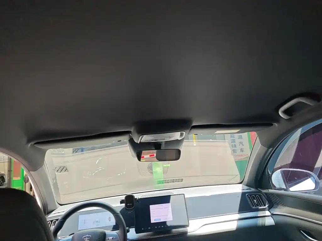 BYD Pro New Energy — миниатюра 18