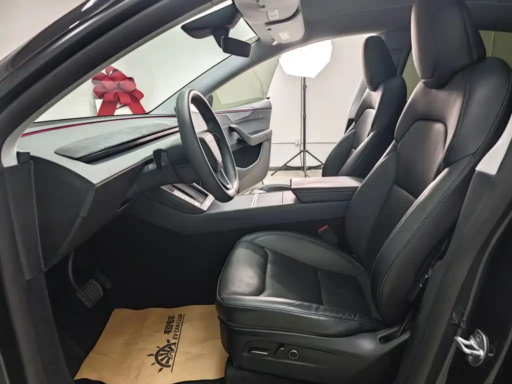 Tesla Model Y — миниатюра 44