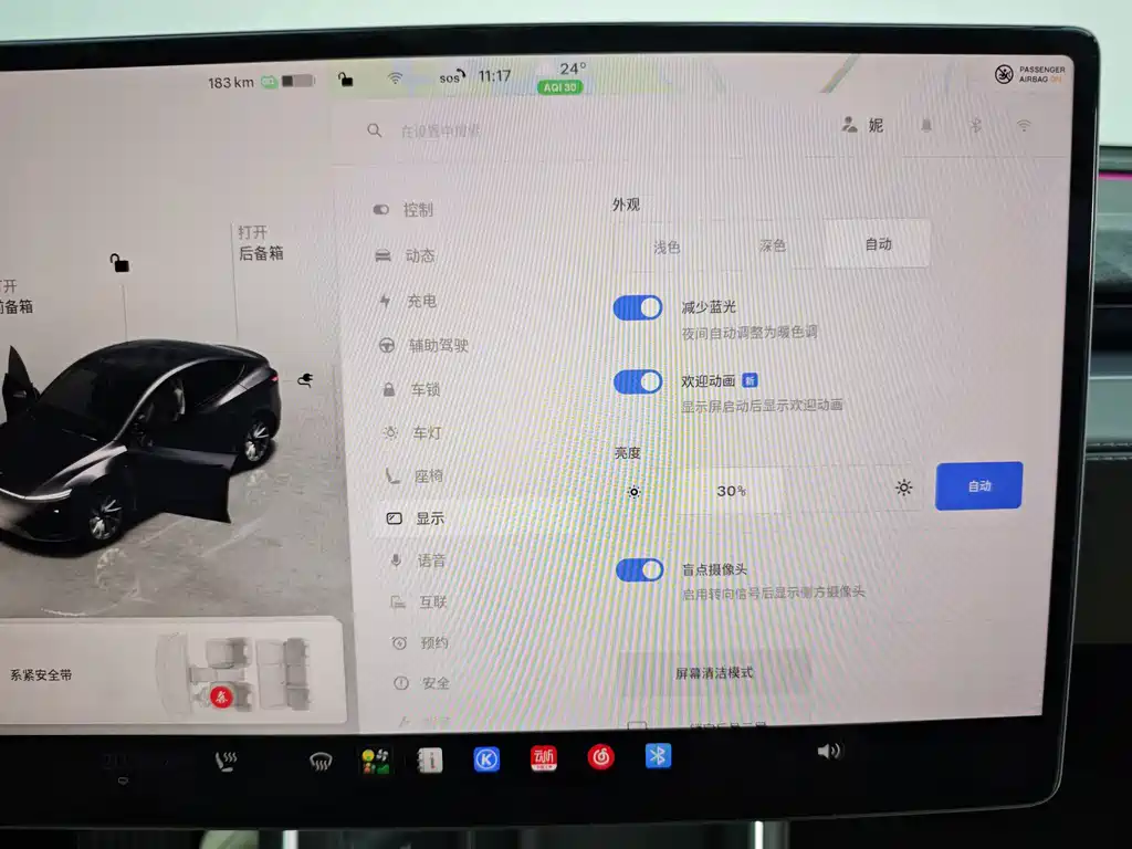 Tesla Model Y — миниатюра 25