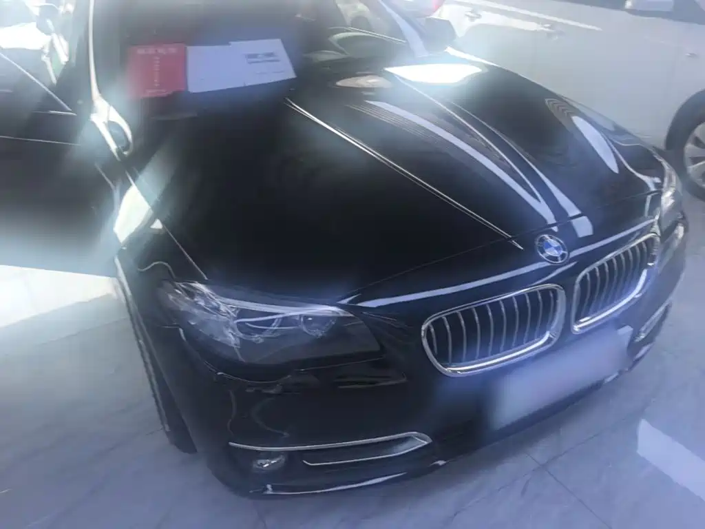 BMW 5 Series 5 2014 525Li Lead