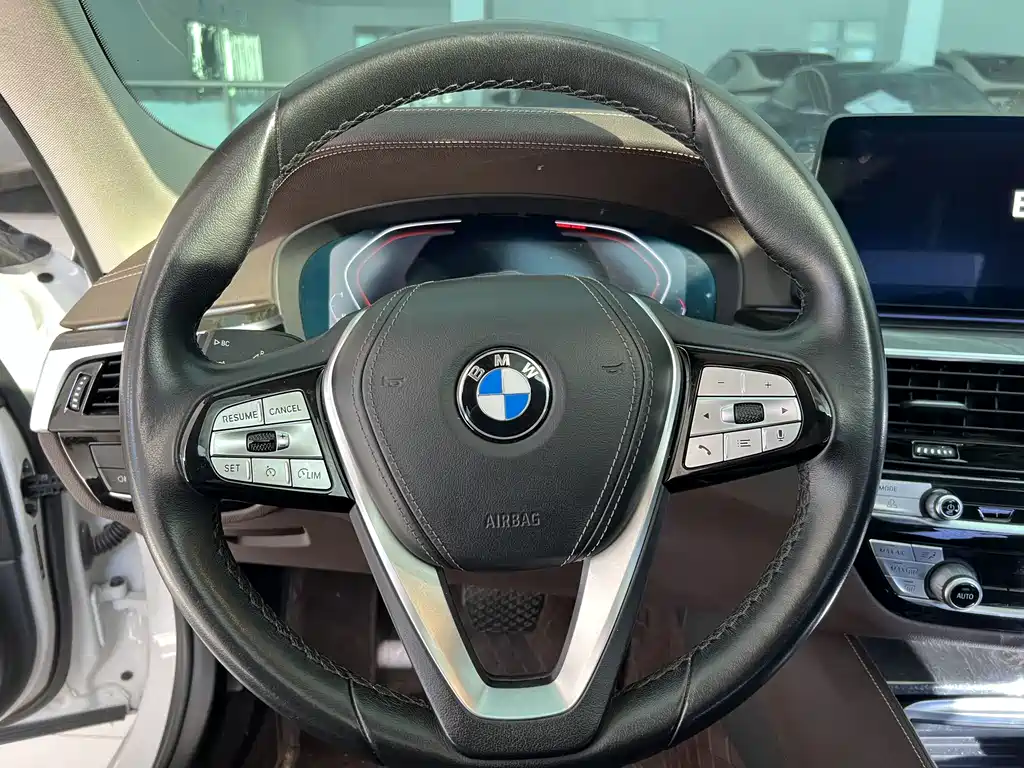 BMW 5 Series 5 2022 525Li Luxury