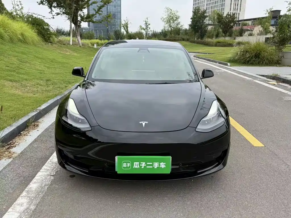 Tesla Model 3 — миниатюра 3