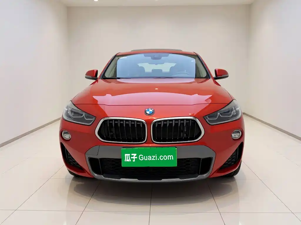BMW X2 (Import) — миниатюра 2