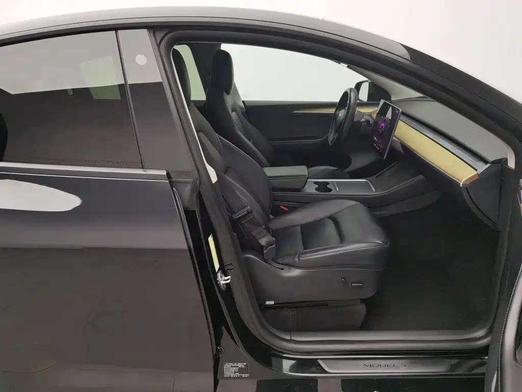 Tesla Model Y — миниатюра 23