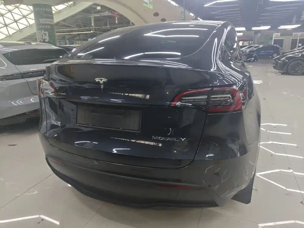 Tesla Model Y — миниатюра 6