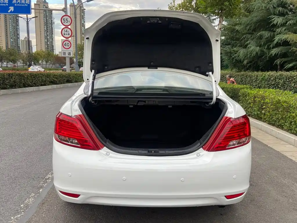 BYD Surui — миниатюра 15