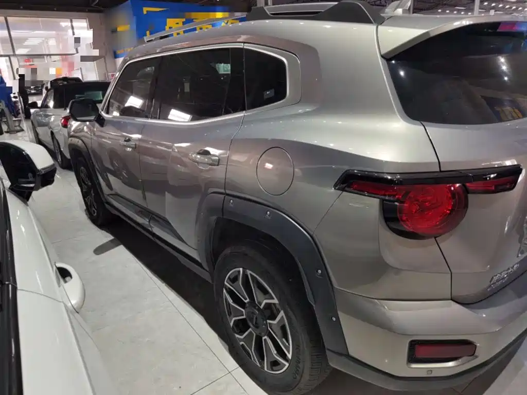 HAVAL SECOND GENERATION BIG DOG NEW ENERGY