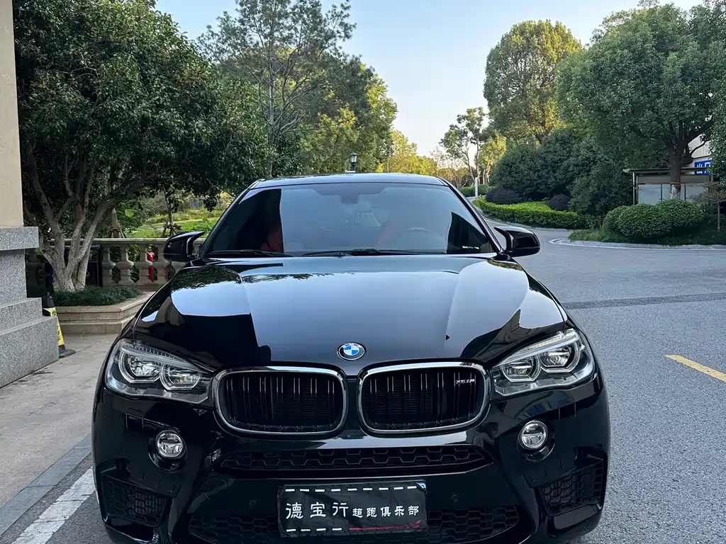 BMW X6 M