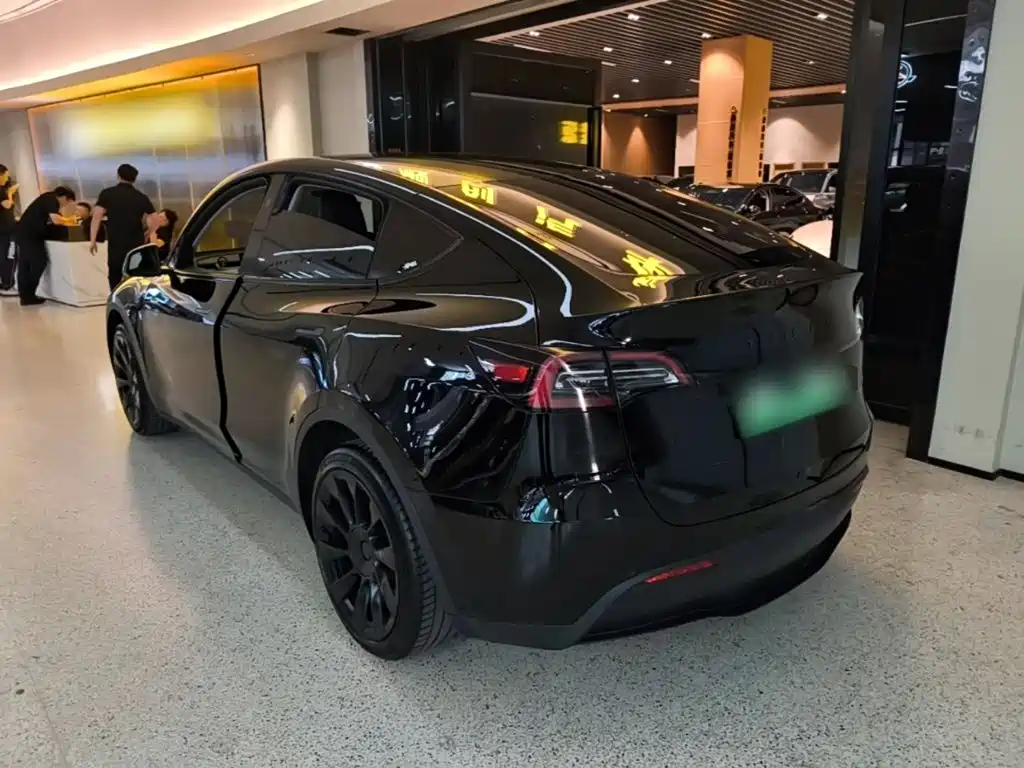 Tesla Model Y — миниатюра 5
