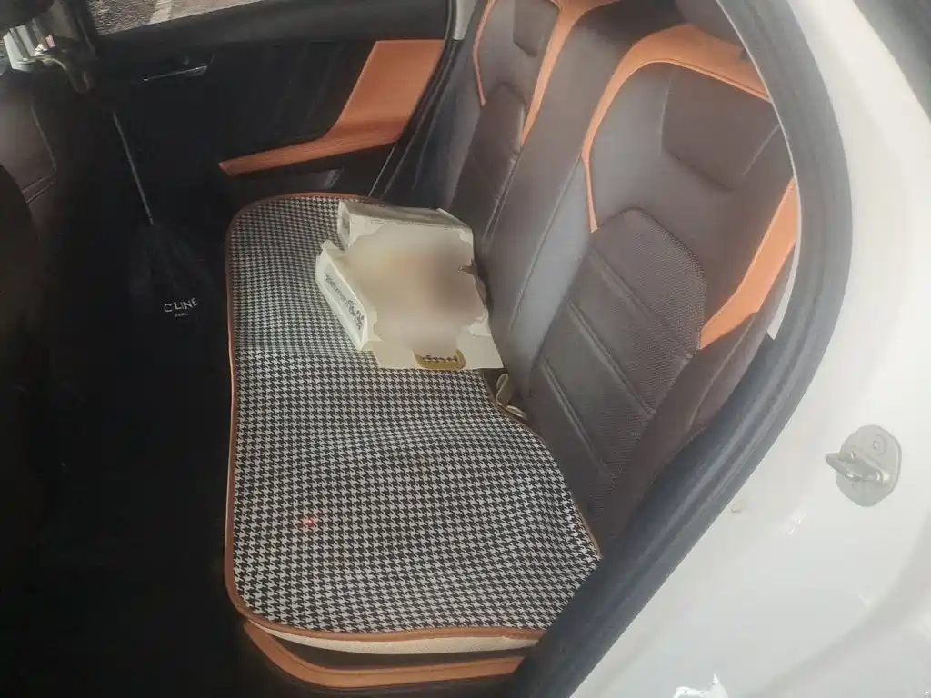 BYD e2 — миниатюра 13