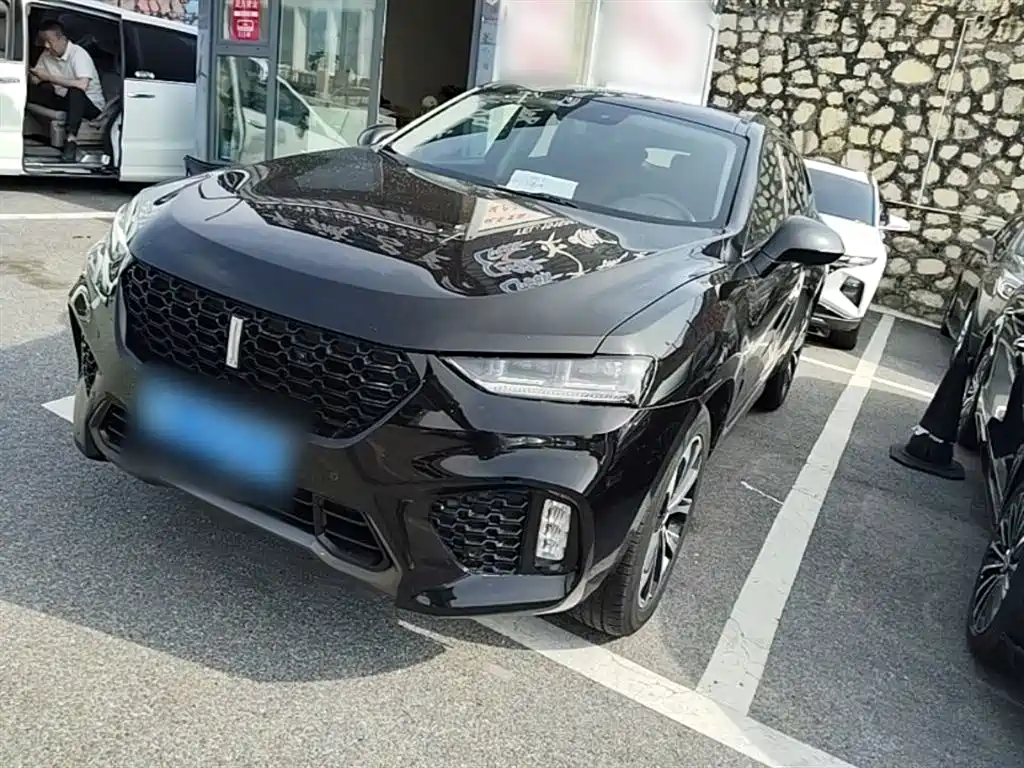 Купить Wey Wey VV7