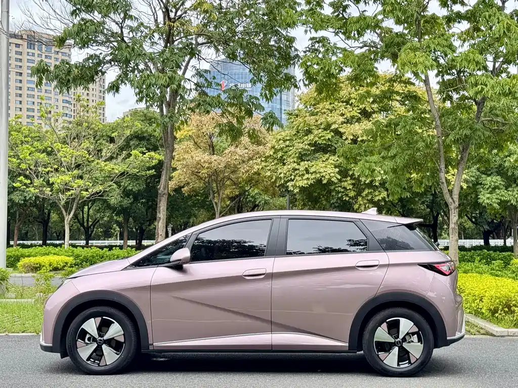 BYD Dolphin — миниатюра 4