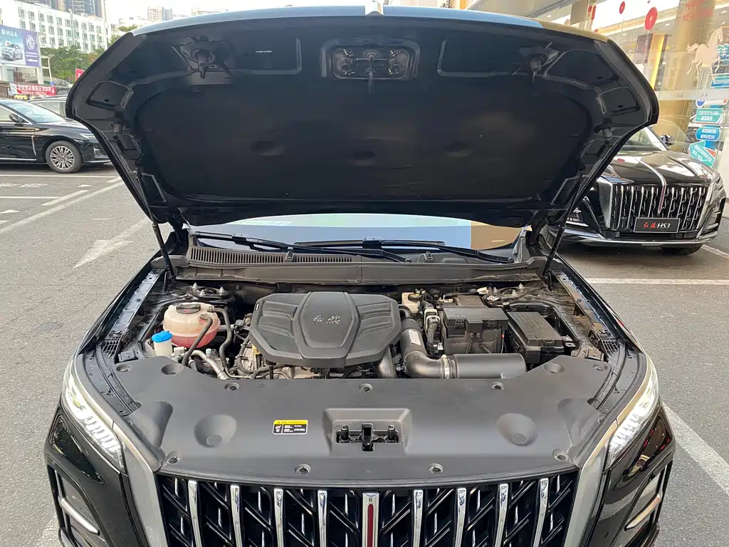 Hongqi HONGQI HS5