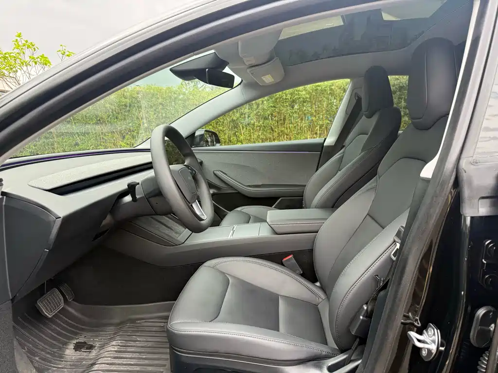 Tesla Model 3 — миниатюра 4
