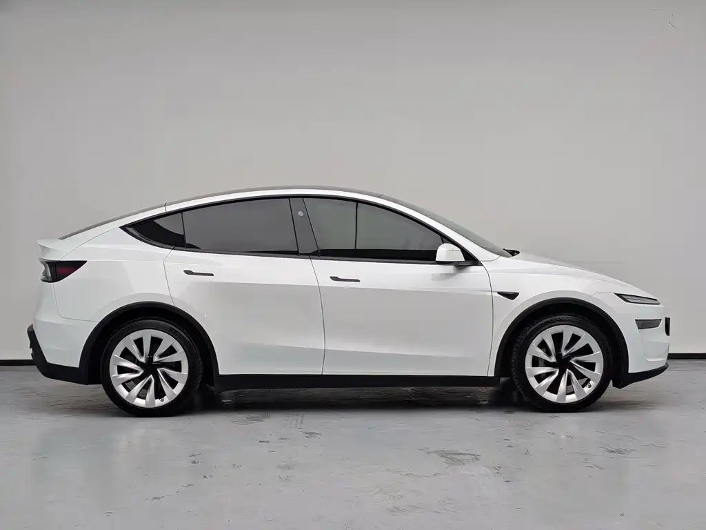 Tesla Model Y — миниатюра 13