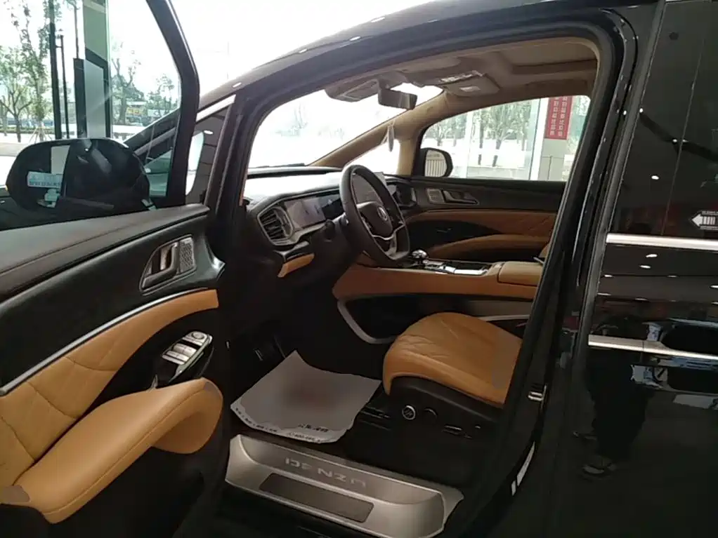 Denza Denza D9 — миниатюра 16