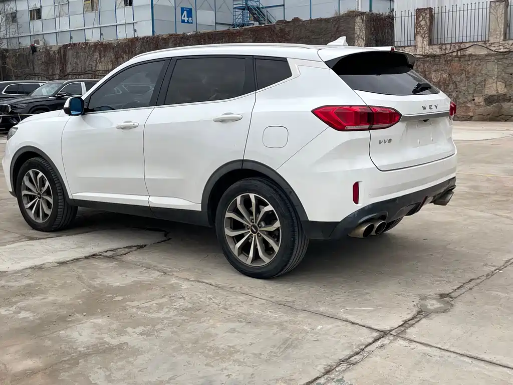 WEI PAI WEI BRAND VV6