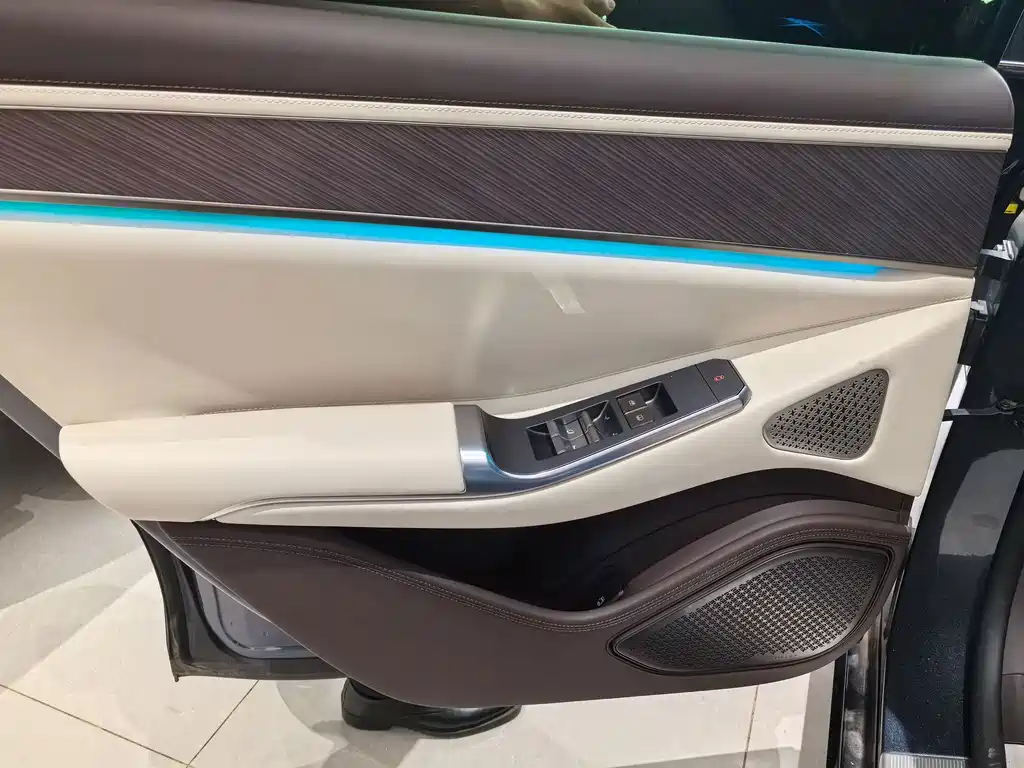 Denza Denza Z9 — миниатюра 7