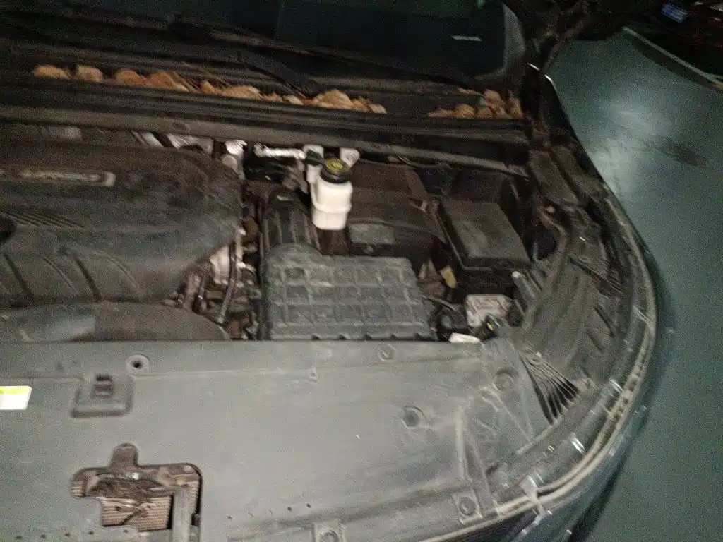 GAC Motor Trumpchi M6 — миниатюра 20
