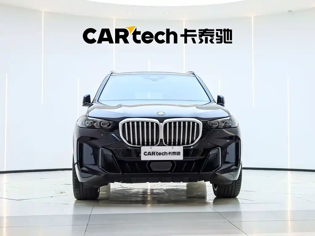 BMW X5 — миниатюра 2