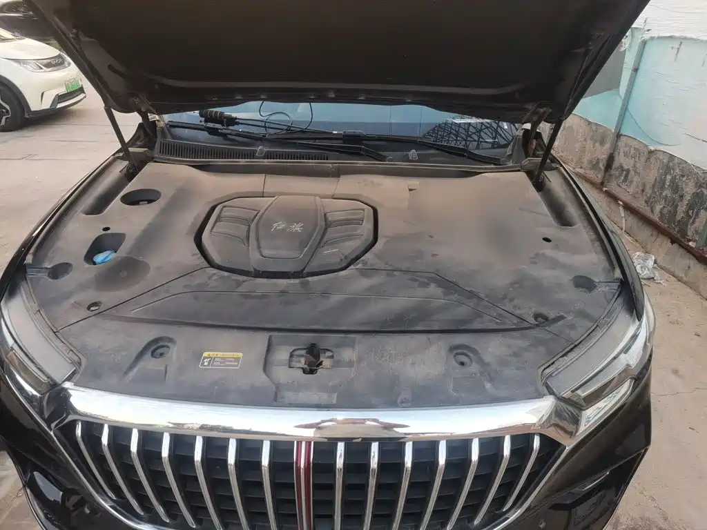 Hongqi Hongqi HS5 — миниатюра 16