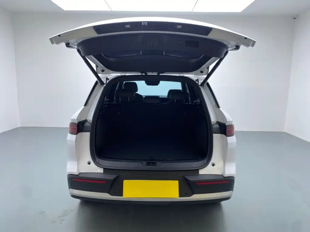 BYD Pro New Energy — миниатюра 16