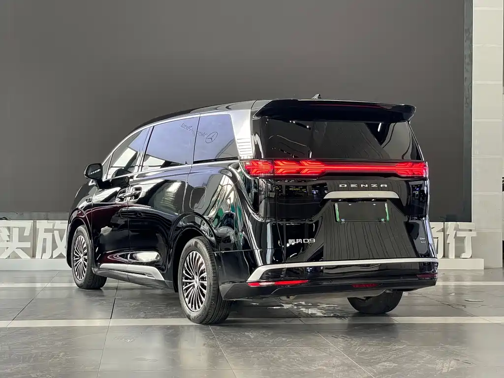 Denza Denza D9 — миниатюра 4