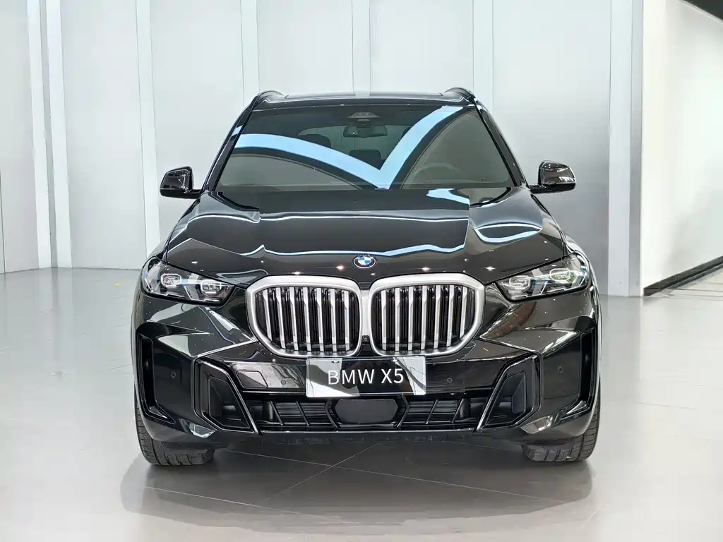 BMW X5 2023 xDrive 40Li M Sport