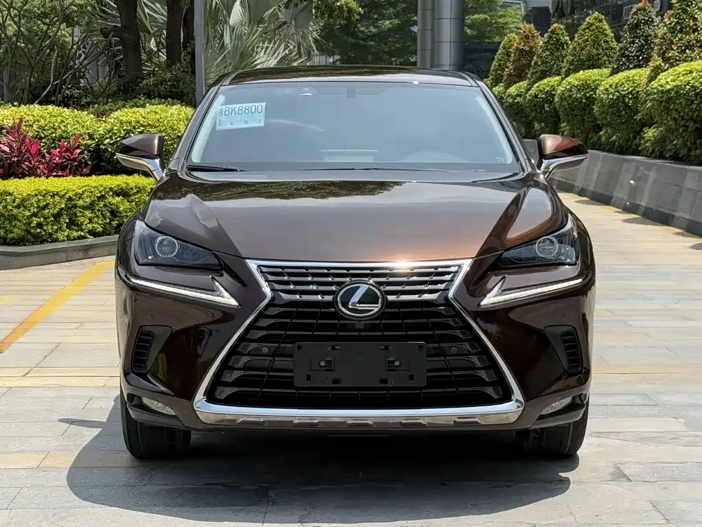 Lexus NX 2018 200 V