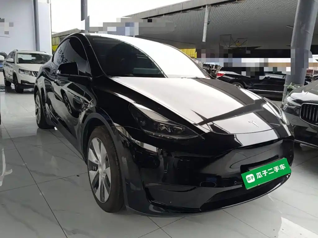 Tesla Model Y — миниатюра 4