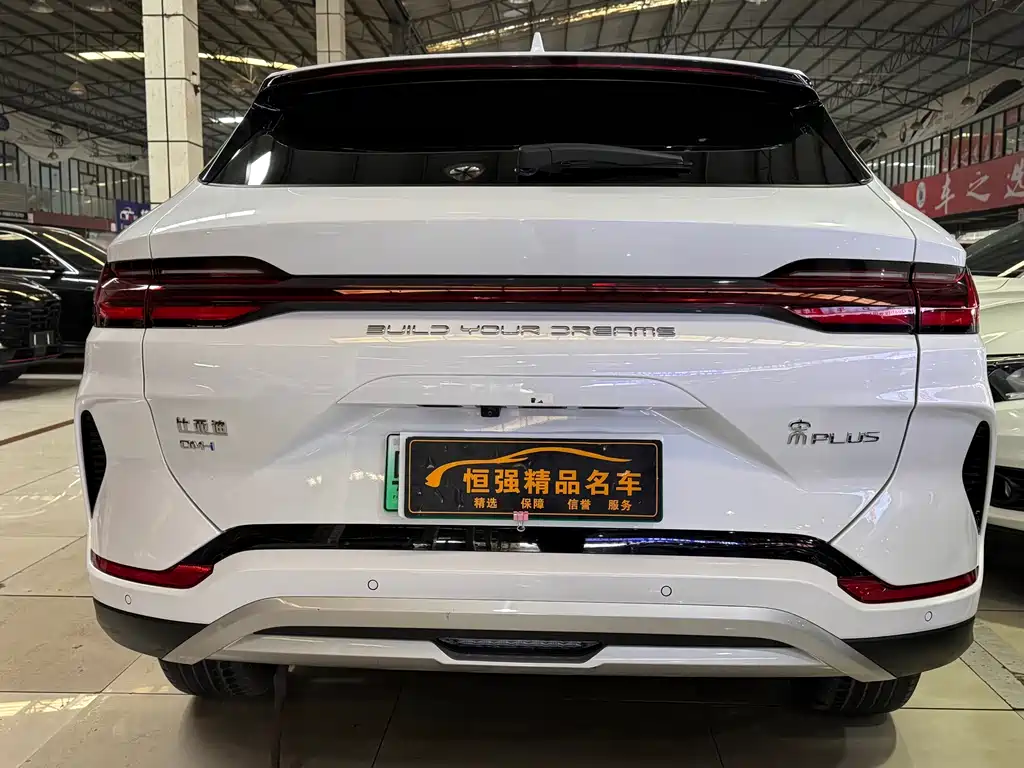 BYD SONGJIANG NEW ENERGY