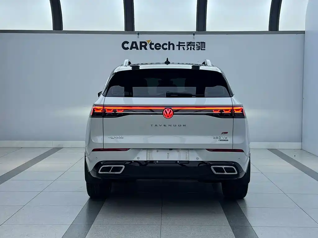 Volkswagen Tavendor — миниатюра 4