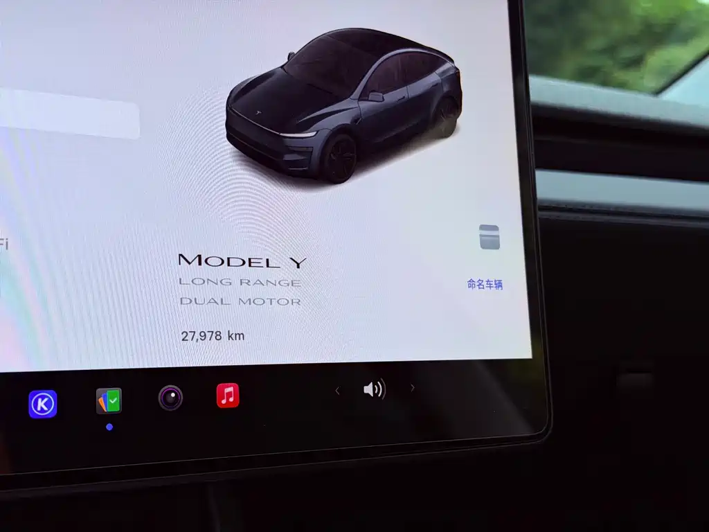 Tesla Model Y — миниатюра 11