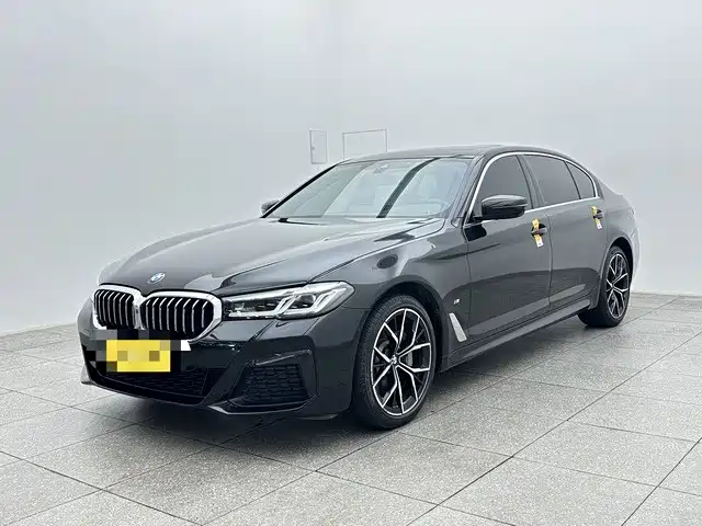 宝马5系 2021款 530Li 尊享型 M运动套装 2021