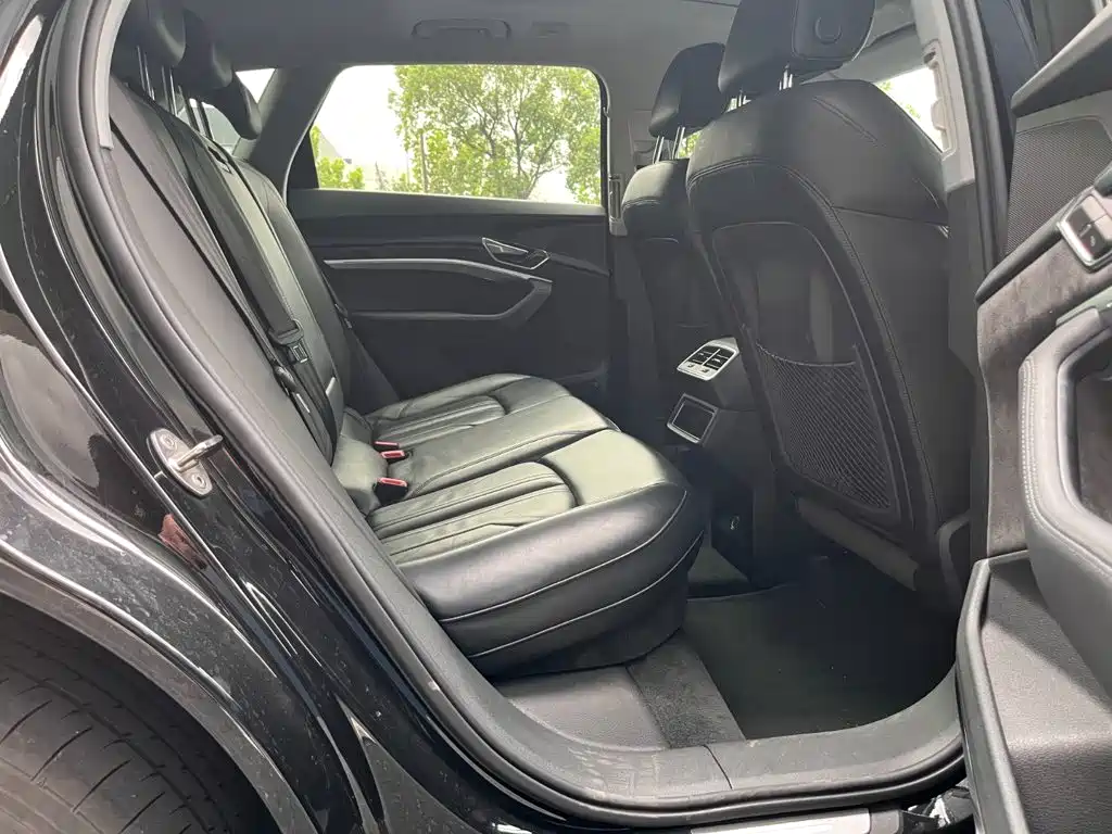 Audi e-tron (Import) — миниатюра 9