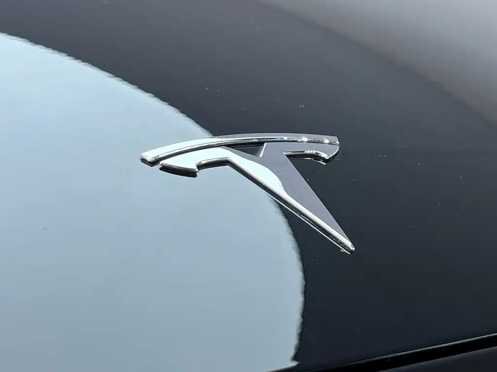 Tesla Model 3 — миниатюра 5