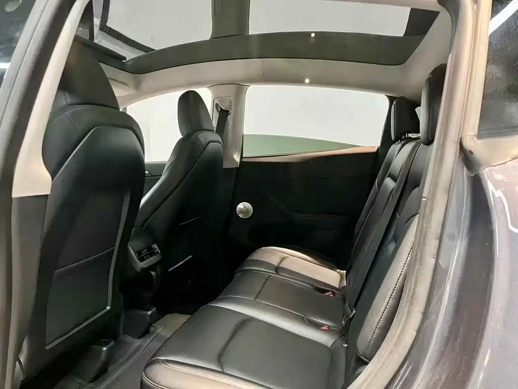 Tesla Model Y — миниатюра 5