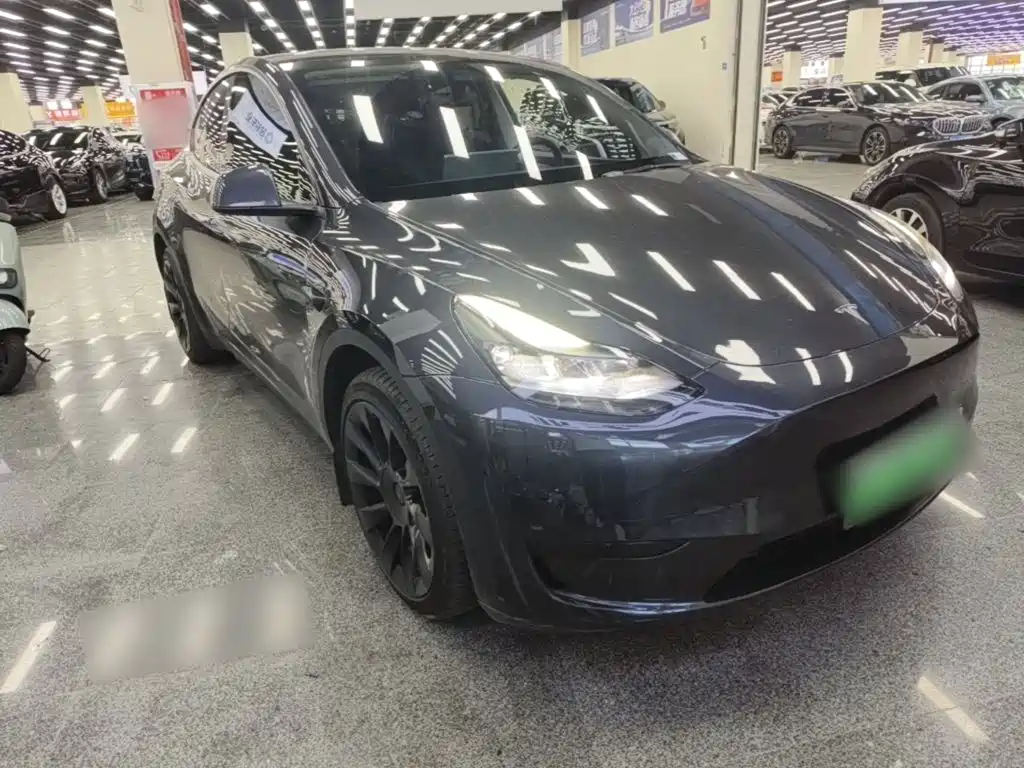 Tesla Model Y — миниатюра 4
