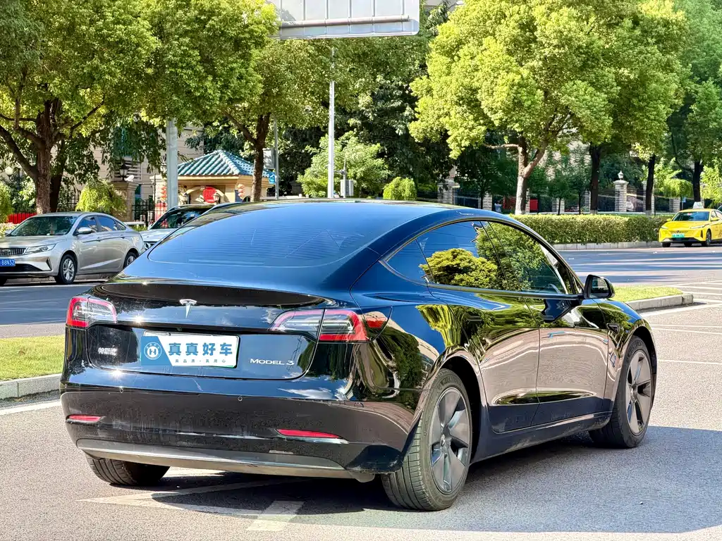 Tesla Model 3 — миниатюра 4