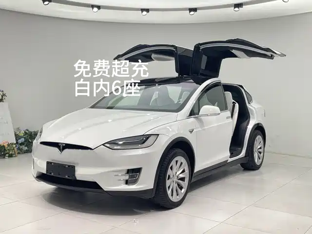 TESLA MODEL X 2019