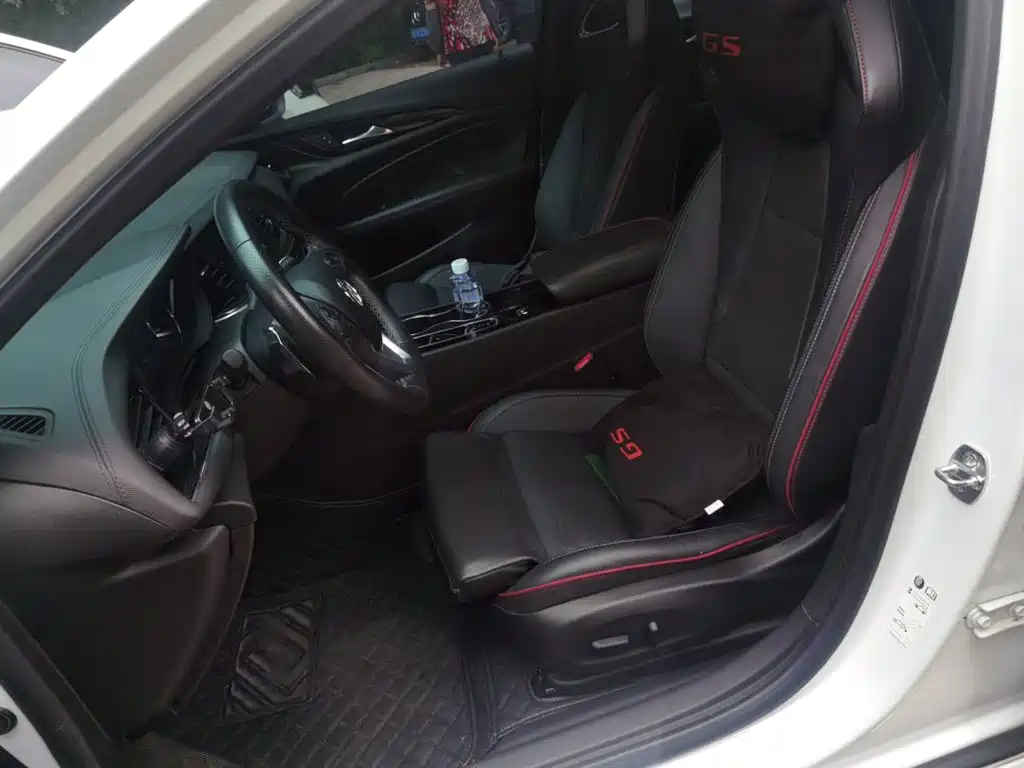 Buick Regal — миниатюра 16