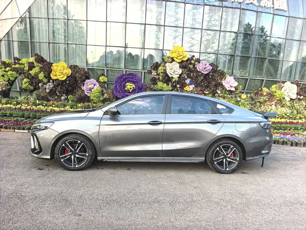 GEELY AUTOMOBILE BINRUI