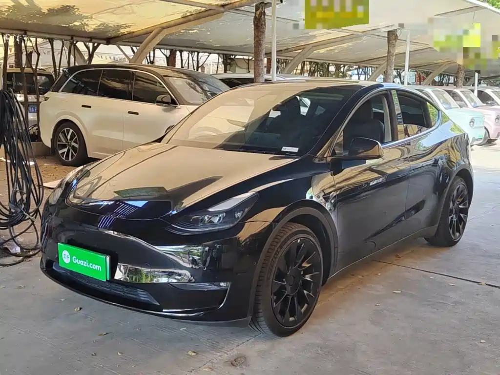 Tesla Model Y — миниатюра 2
