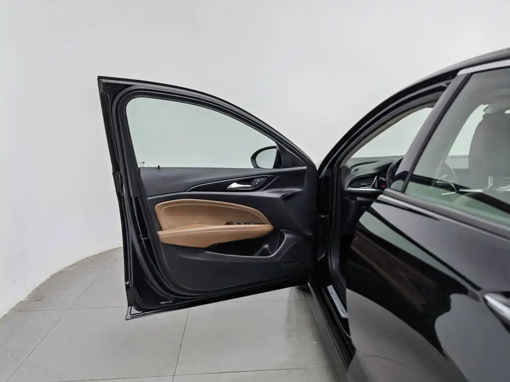 Buick Regal — миниатюра 8