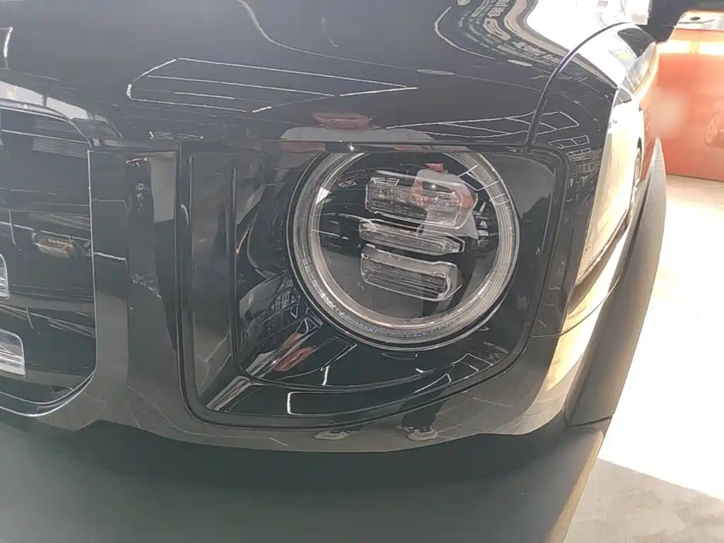 Haval Big Dog — миниатюра 24