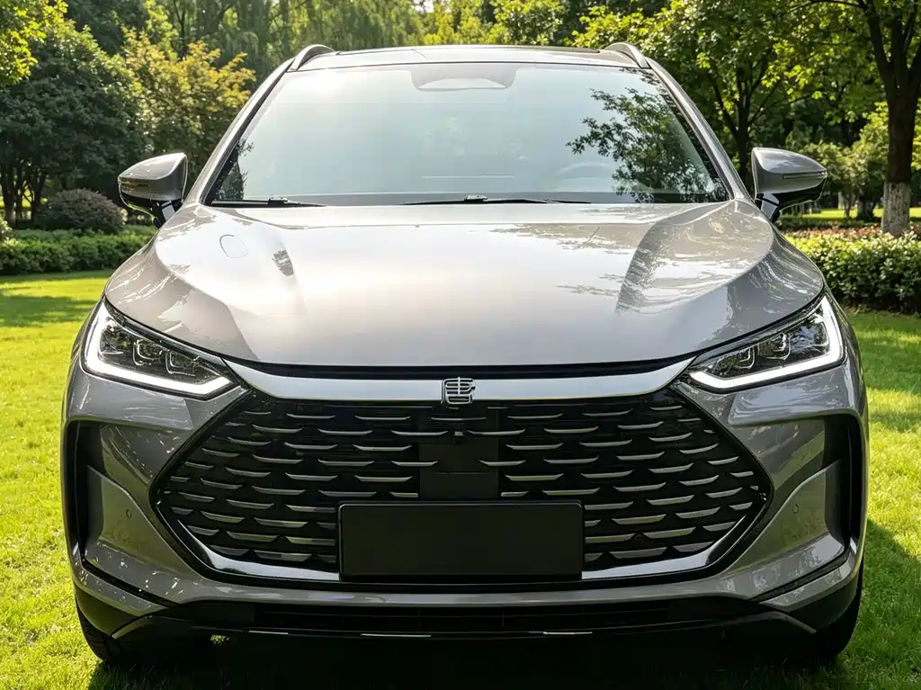 BYD Tang New Energy — миниатюра 2